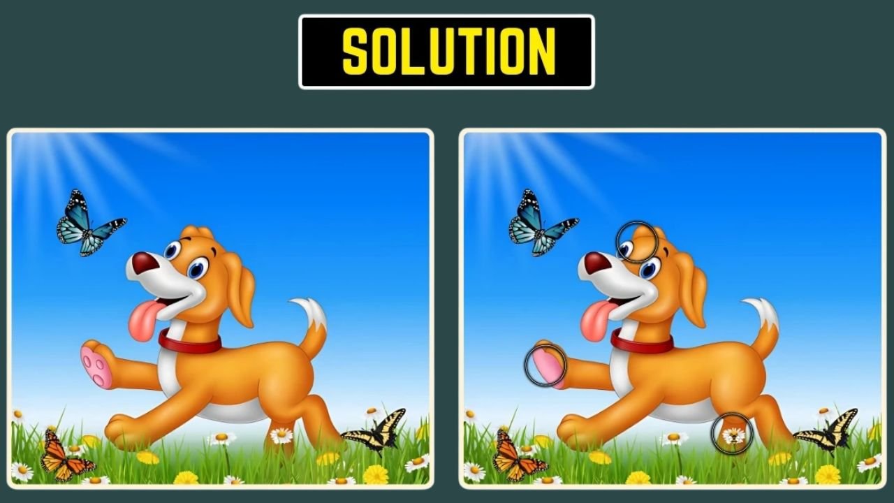 optical illusion spot the difference